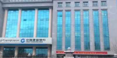 中國(guó)建設(shè)銀行西藏分行動(dòng)環(huán)監(jiān)控項(xiàng)目